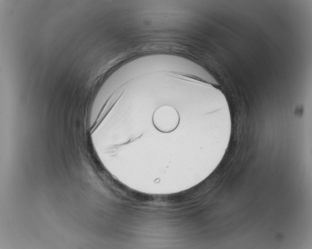 X0000113130356200910161138