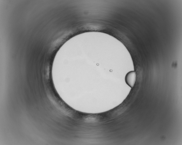 X0000113130358200910161138