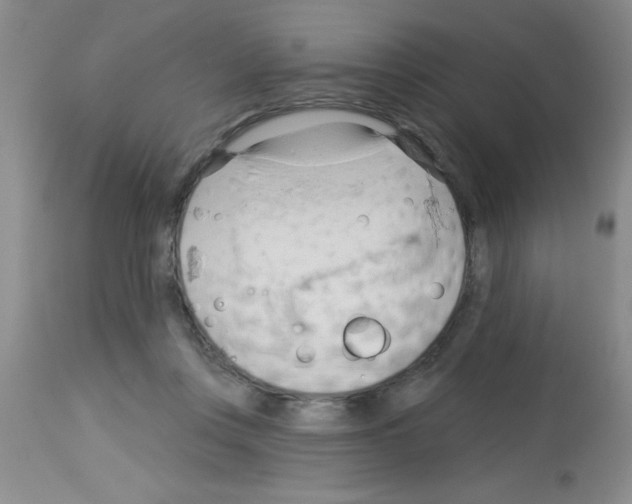 X0000113130359200910161138