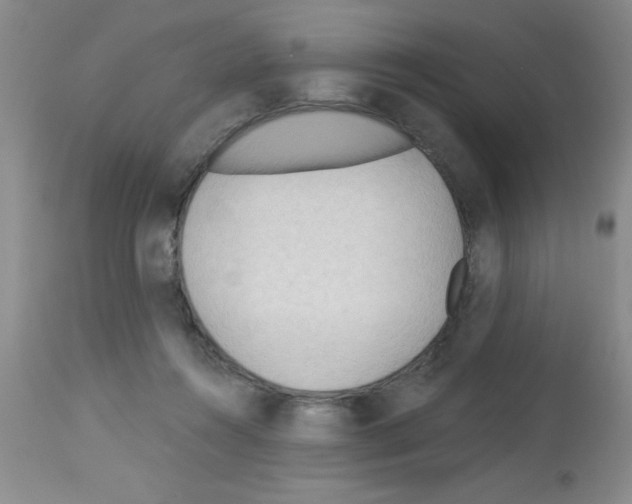 X0000113130360200910161138