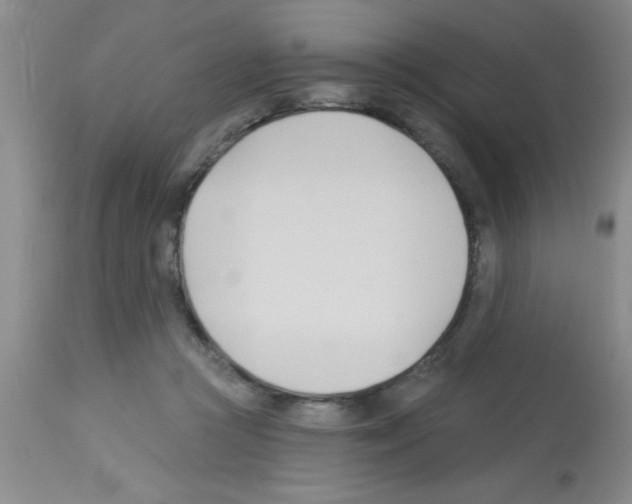 X0000113130361200910161138