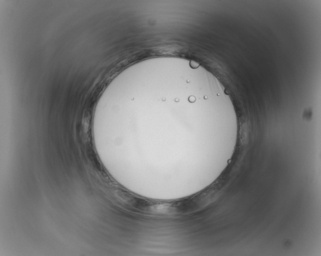 X0000113130365200910161138