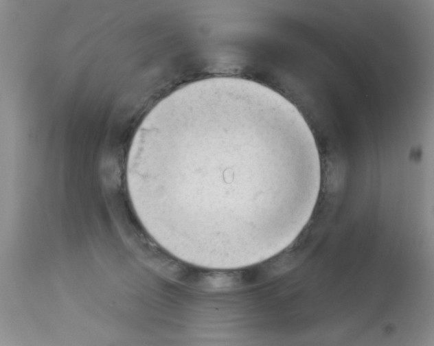 X0000113130370200910161138