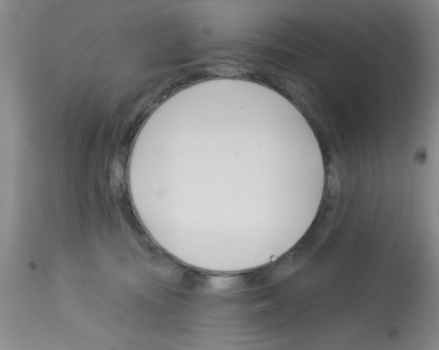 X0000113130371200910161138