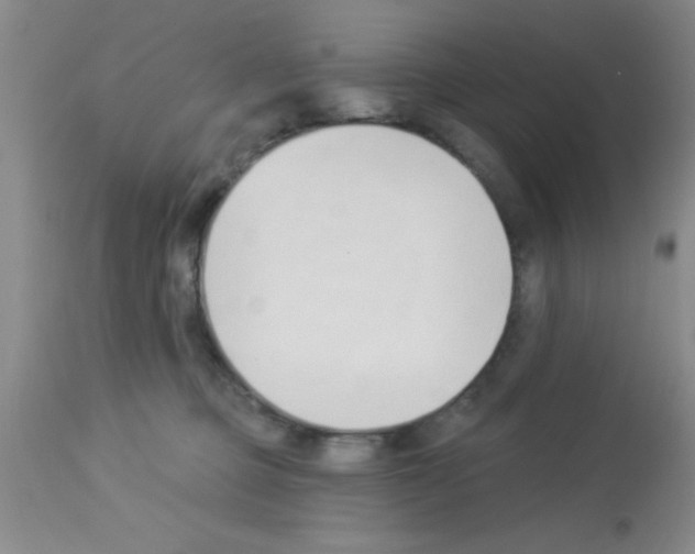 X0000113130373200910161138