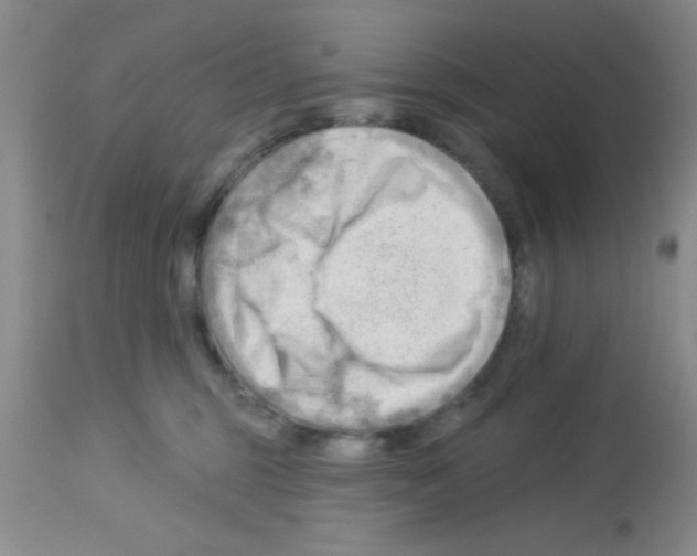 X0000113130375200910161138