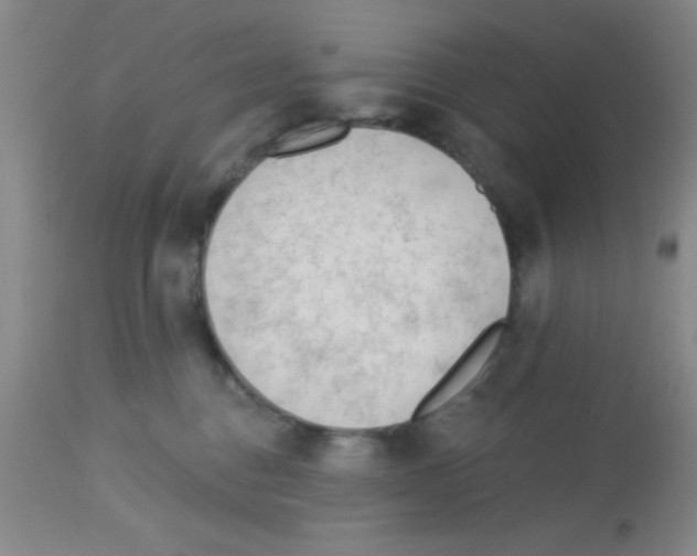 X0000113130376200910161138