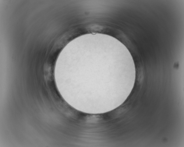 X0000113130378200910161138
