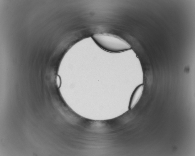 X0000113130380200910161138