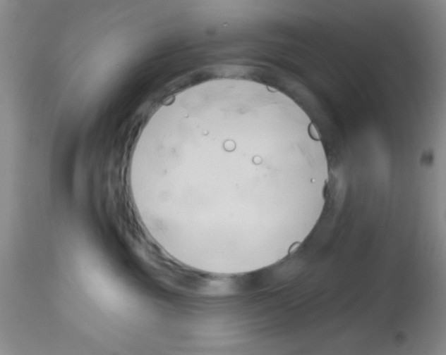 X0000113130381200910161138