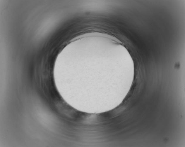 X0000113130382200910161138