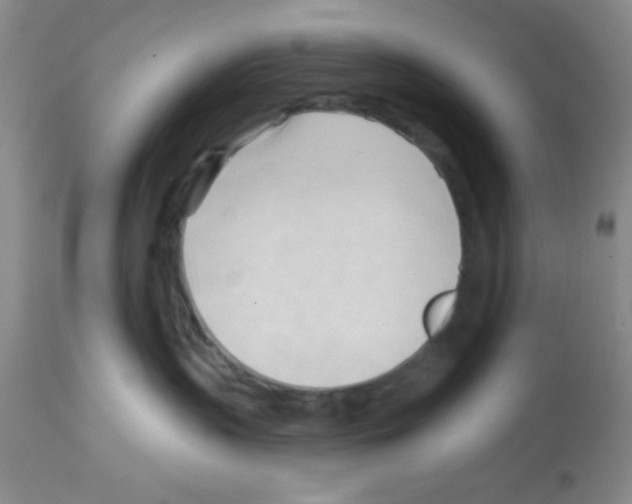 X0000113130383200910161138