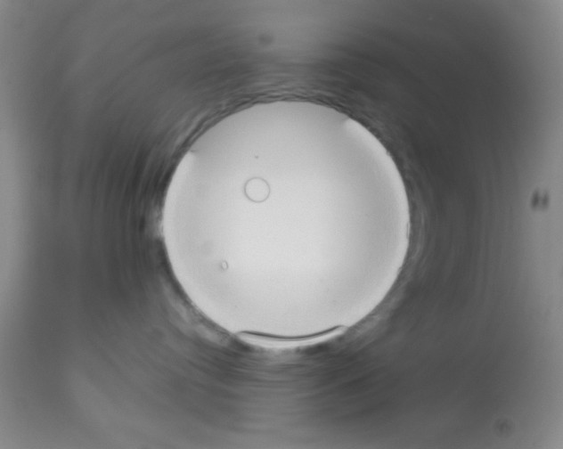 X0000113130384200910161138