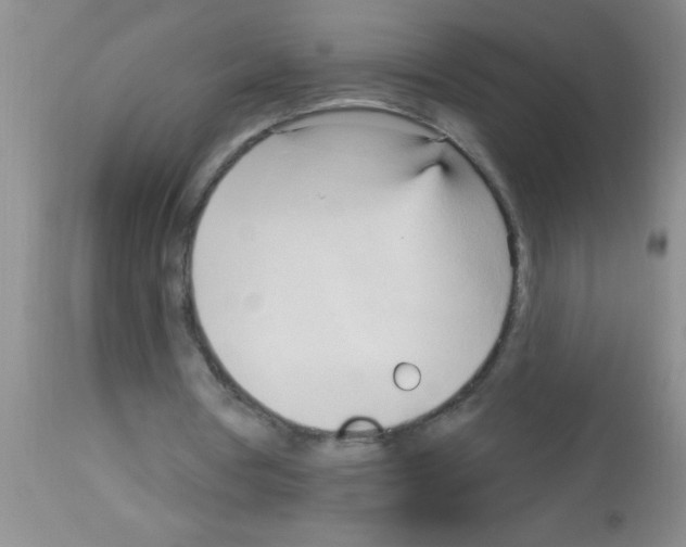 X0000113130386200910161137