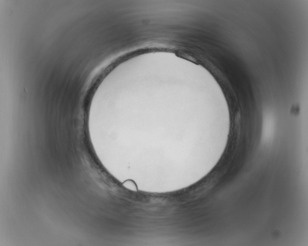 X0000113130388200910161137
