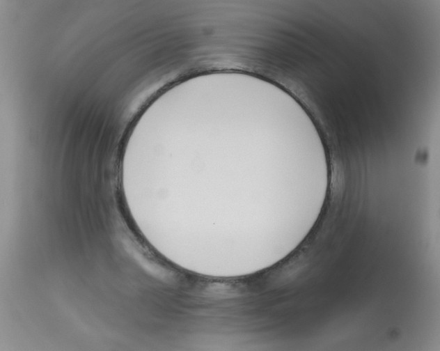 X0000113130390200910161137