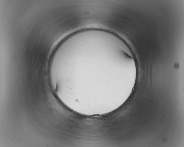 X0000113130391200910161137