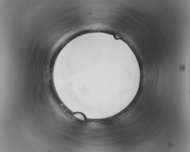 X0000113130392200910161137