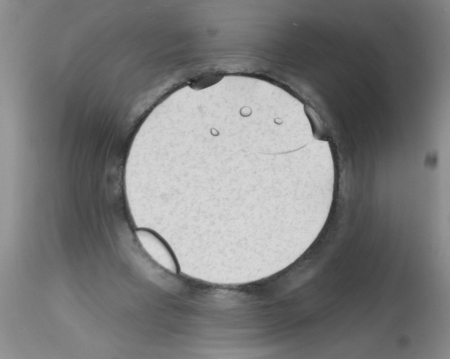 X0000113130393200910161137