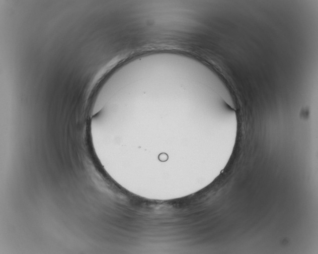X0000113130395200910161137