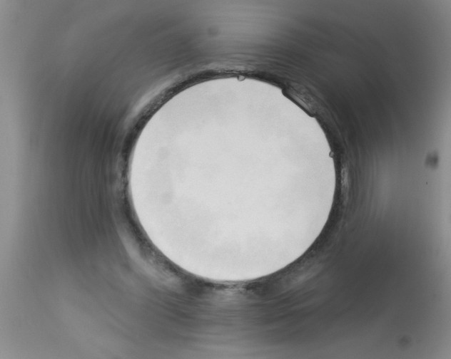 X0000113130396200910161137