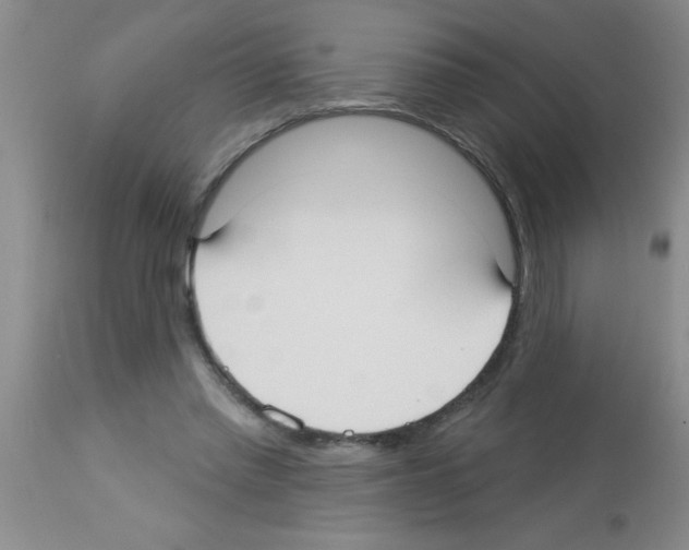 X0000113130397200910161137