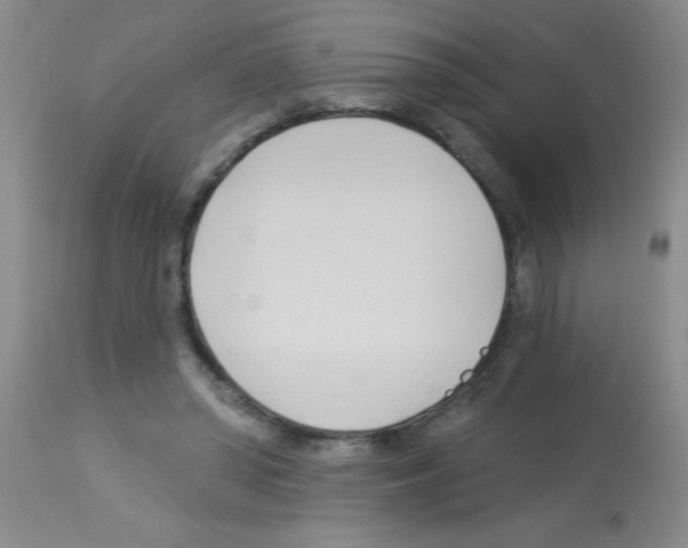 X0000113130398200910161137