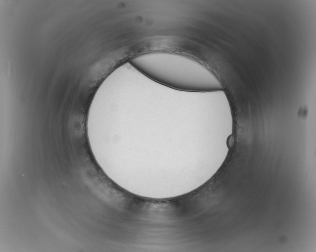 X0000113130401200910161137