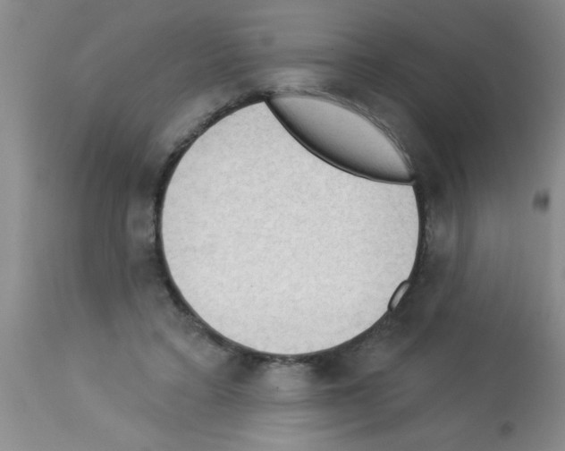 X0000113130403200910161137