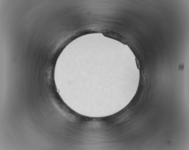 X0000113130404200910161137