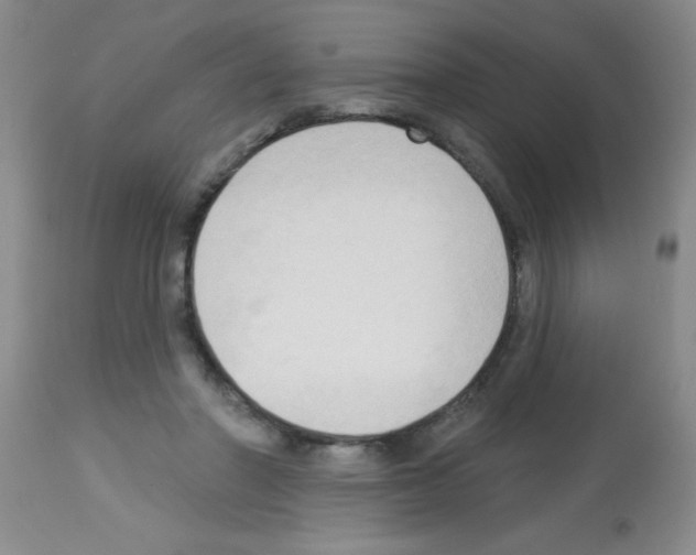 X0000113130406200910161137
