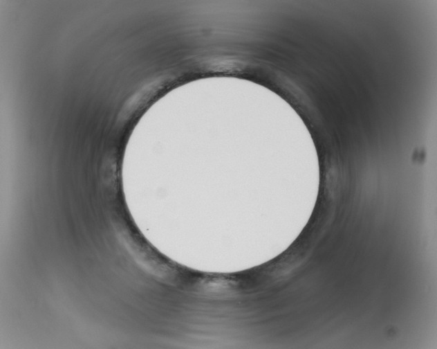 X0000113130407200910161137
