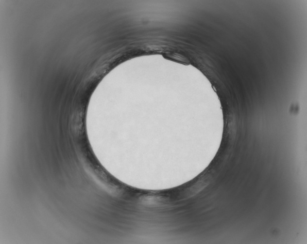 X0000113130408200910161137