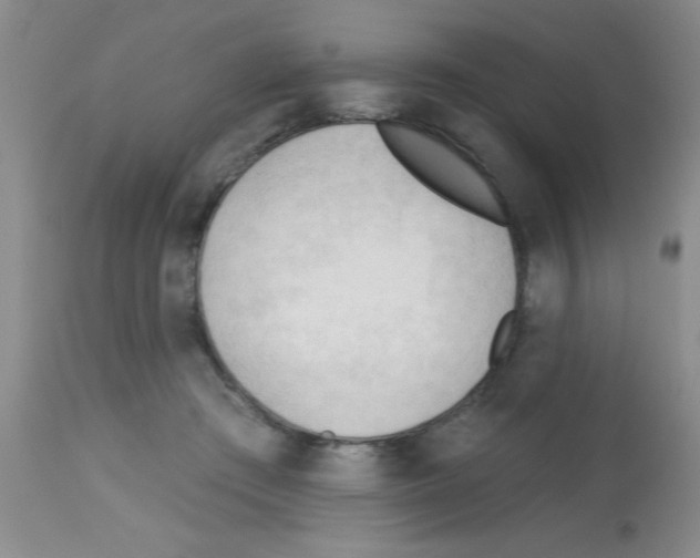 X0000113130409200910161137