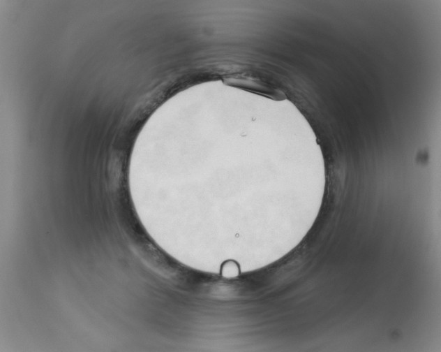 X0000113130412200910161137