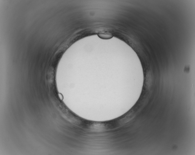 X0000113130413200910161137