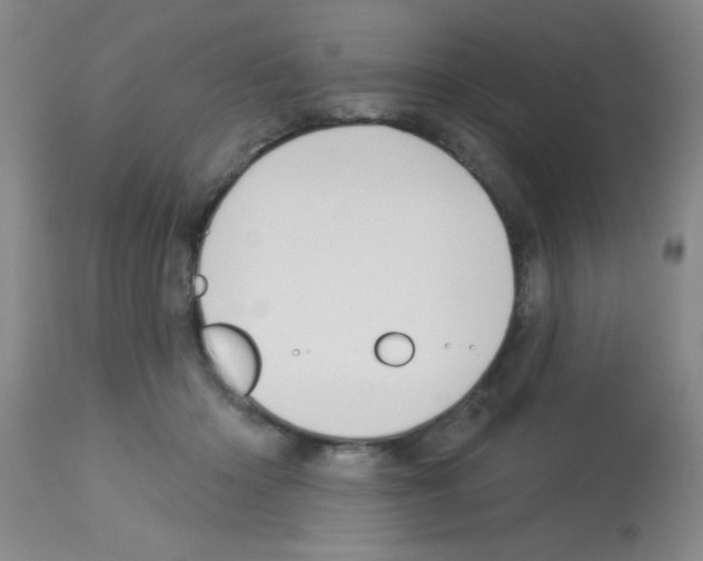 X0000113130414200910161137