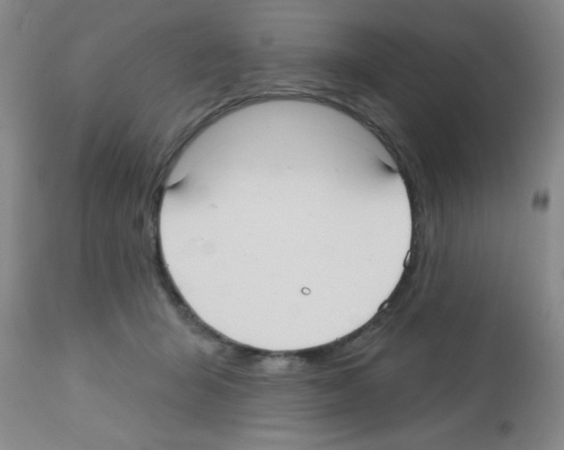 X0000113130415200910161137