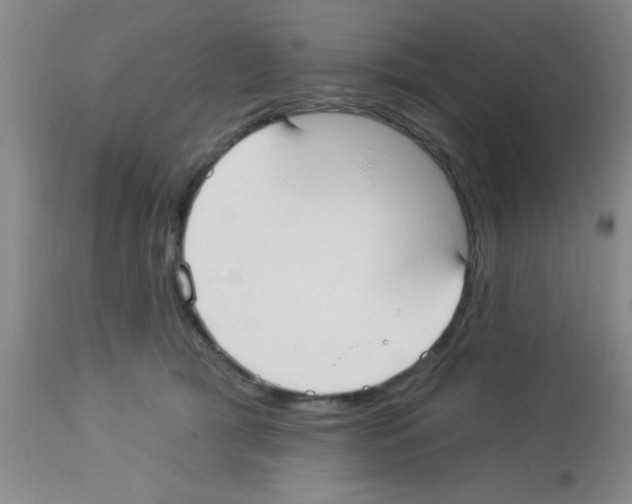 X0000113130417200910161137
