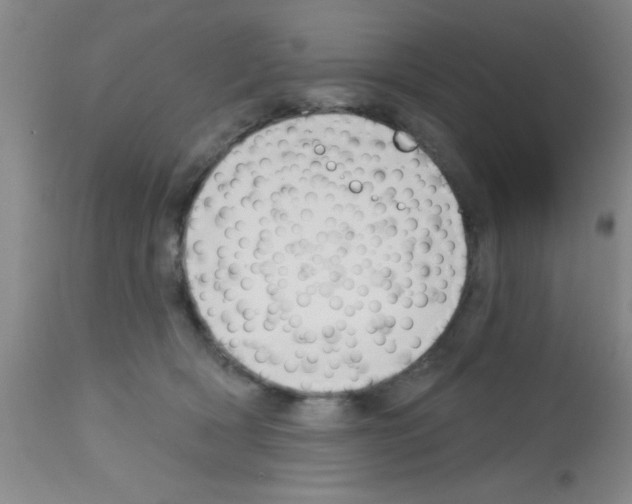 X0000113130418200910161137