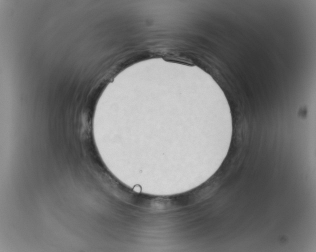 X0000113130420200910161137