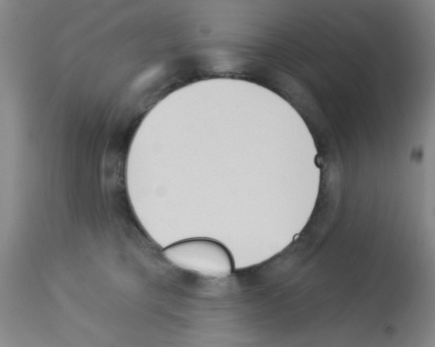 X0000113130421200910161137