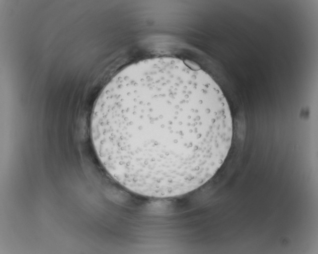 X0000113130422200910161137