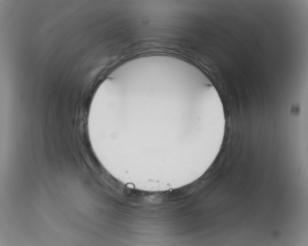 X0000113130423200910161137
