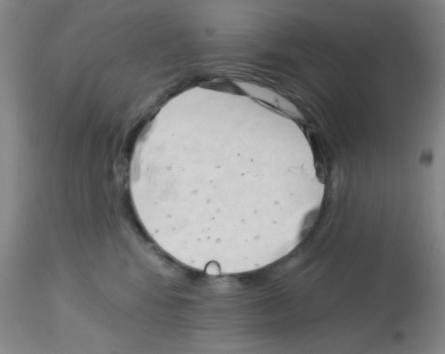 X0000113130424200910161137