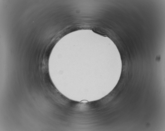 X0000113130425200910161137