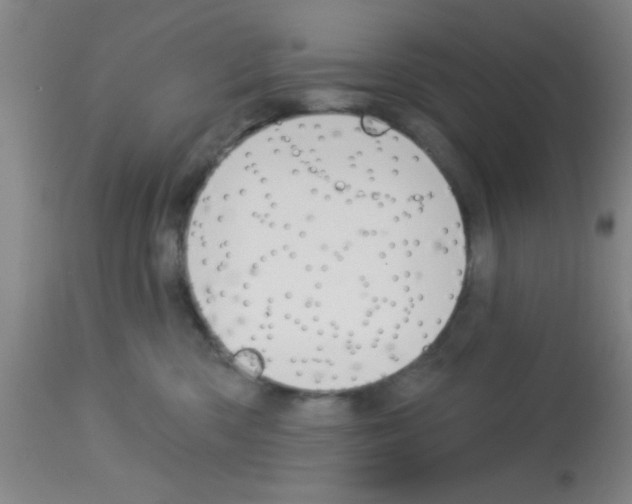 X0000113130426200910161137