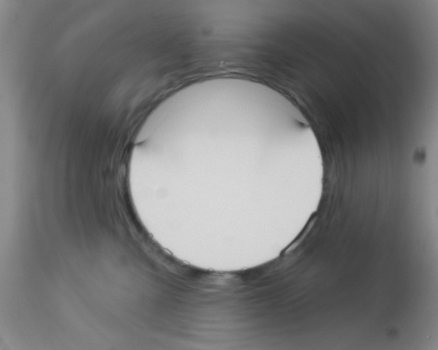 X0000113130427200910161137