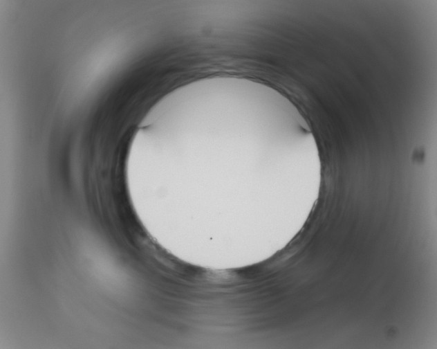 X0000113130429200910161137