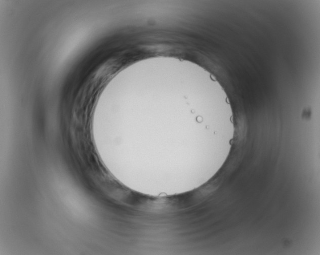 X0000113130430200910161137